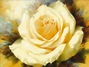 Reprodukce - Květiny - One Champagne Rose, Igor Levashov
