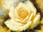 Reprodukce - Květiny - One Champagne Rose