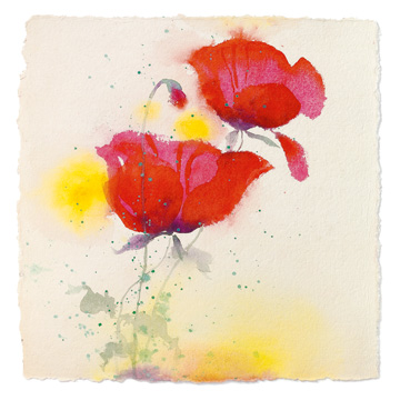 Reprodukce - Květiny - Papaveri I, Andrea Fontana