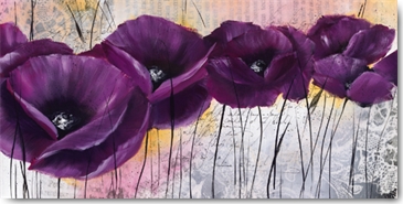 Reprodukce - Květiny - Pavot violet I, Isabelle Zacher-Finet