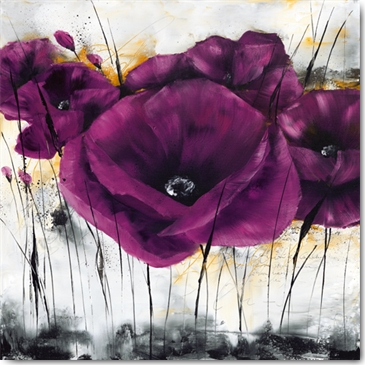 Reprodukce - Květiny - Pavot violet III, Isabelle Zacher-Finet
