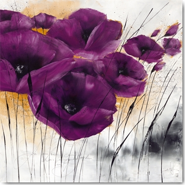 Reprodukce - Květiny - Pavot violet IV, Isabelle Zacher-Finet