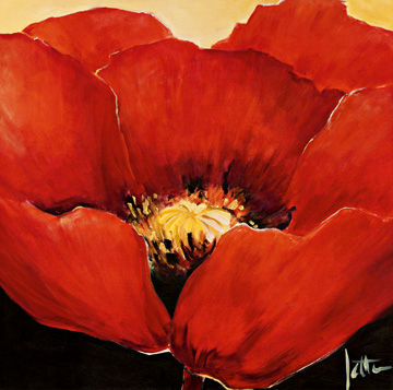 Reprodukce - Květiny - Red Beauty I, Jettie Roseboom