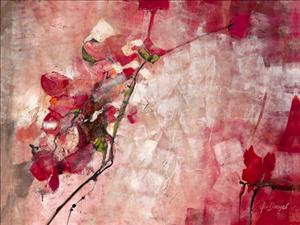 Reprodukce - Květiny - Symphony in Red, Ingeborg Dreyer