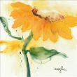 Reprodukce - Květiny - Tournesol IV