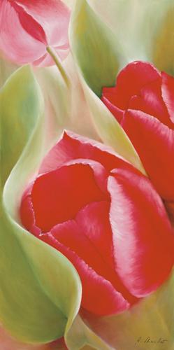 Reprodukce - Květiny - Tulpen I, Annette Schmucker