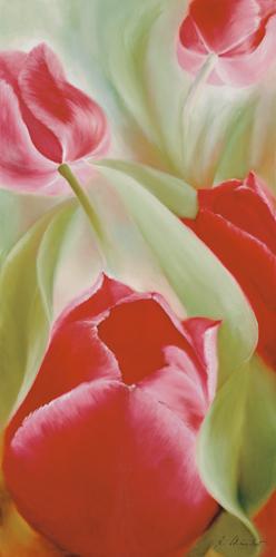 Reprodukce - Květiny - Tulpen II, Annette Schmucker