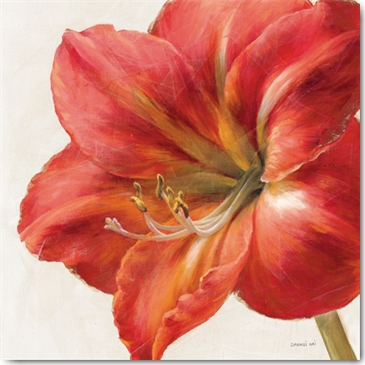 Reprodukce - Květiny - Vivid Amaryllis, Danhui Nai
