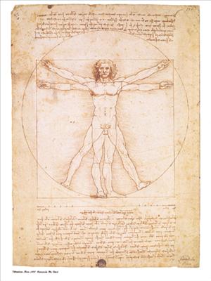 Reprodukce - MU - Renesance - Vitruvian Man, Leonardo da Vinci