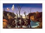 Reprodukce - MU - Surrealismus - Cygnes reflétant des éléphants
