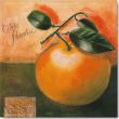 Reprodukce - Tisk na plátno - Citrus Paradisi