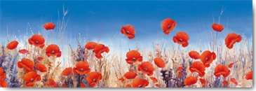 Reprodukce - Tisk na plátno - Poppy Landscape, Hilary Mayes