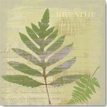 Reprodukce - Zátiší - Breathe, Wild Apple Portfolio