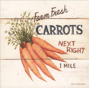Reprodukce - Zátiší - Farm Fresh Carrots, David Carter - Brown