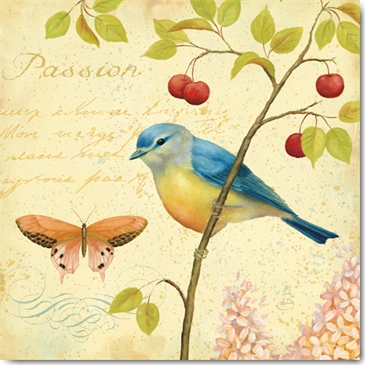 Reprodukce - Zátiší - Garden Passion II, Daphne Brissonnet