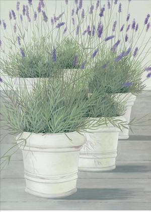 Reprodukce - Zátiší - Lavender, Franz Heigl