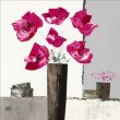 Reprodukce - Zátiší - Pivoines roses I