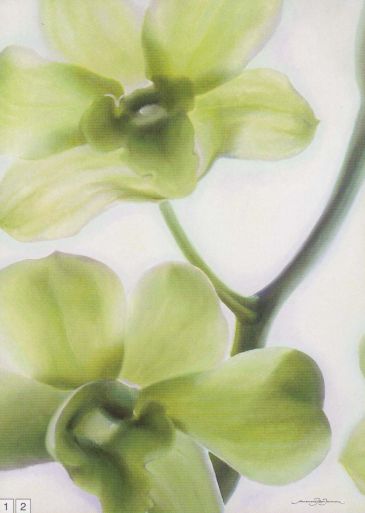 Obrazy  APJ Orchid ,,Marilyn,, I, Annemarie Peter-Jaumann