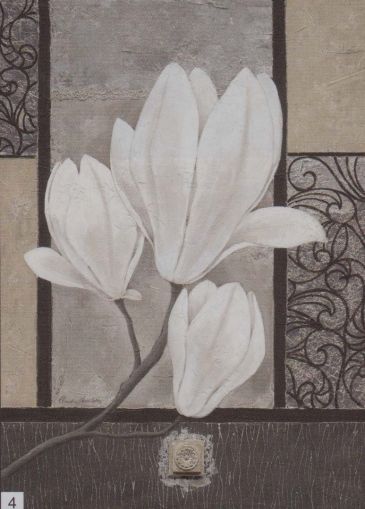 Obrazy  CA White Magnolia, Claudia Ancilotti