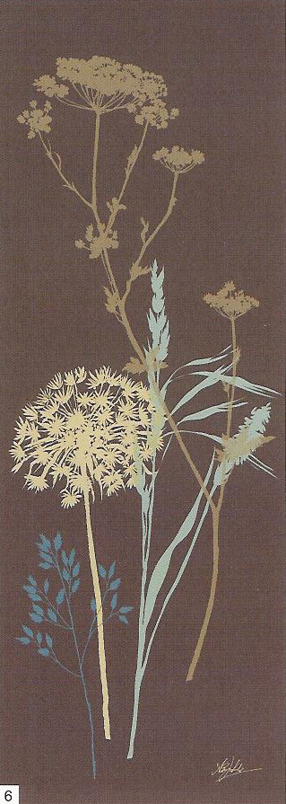 Obrazy  Chocolate Meadow Grass