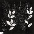 Obrazy  DES Black Stitch Floral II