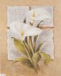 Obrazy  LM Calla Lily Poetry