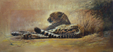 Obrazy na plátně - Gepard