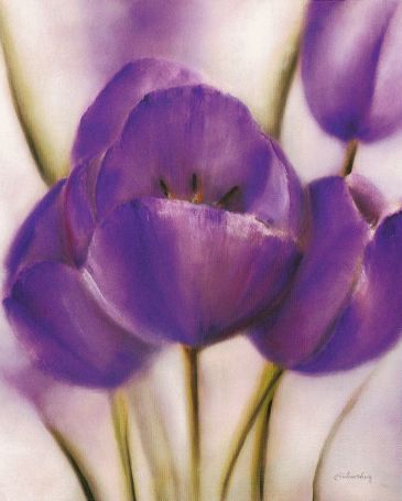 Obrazy  Purple Blossom II, Caroline Wenig