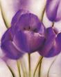 Obrazy  Purple Blossom II