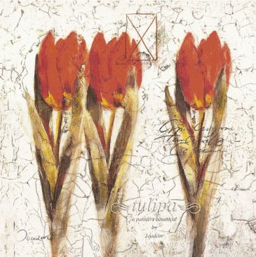 Obrazy  - Tulipa Formation, Joadoor