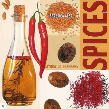 Obrazy  UN Indian Spices, Ute Nuhn