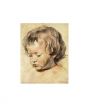 Reprodukce - Baroko - Head of a boy