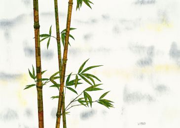 Reprodukce - Exclusive - Bambus, Michael Ferner