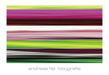 Reprodukce - Exclusive - Fotografie II, Andreas Feil