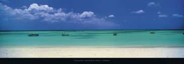 Reprodukce - Fotografie krajin - Palm Beach, Aruba, Caribbean, Tom Mackie