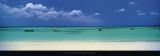 Reprodukce - Fotografie krajin - Palm Beach, Aruba, Caribbean