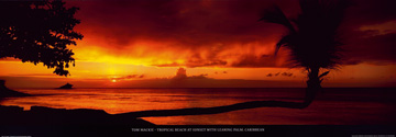 Reprodukce - Fotografie Krajin - Tropical Beach at Sunset, Tom Mackie