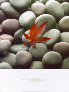 Reprodukce - Fotografie - Leaf on Stone, Glan&Gale Wans