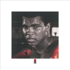 Reprodukce - Fotografie - Muhammad Ali (Boxing Gloves), Muhammad Ali Enterprices LLC.