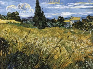 Reprodukce - Impresionismus - Campo di grano, Vincent van Gogh