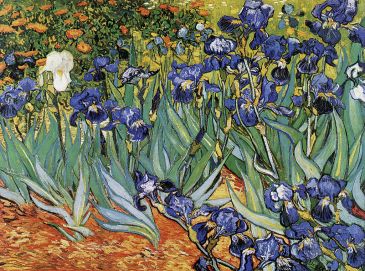 Reprodukce - Impresionismus - Iris, Vincent van Gogh