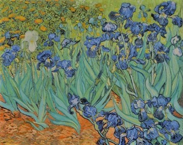 Reprodukce - Impresionismus - Irises, Vincent Van Gogh