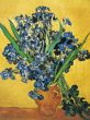 Reprodukce - Impresionismus - Les iris