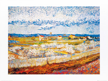 Reprodukce - Impresionismus - Pesco in fiore, Vincent Van Gogh