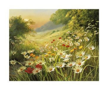 Reprodukce - Krajinky - Evening Sunlight, Mary Dipnall