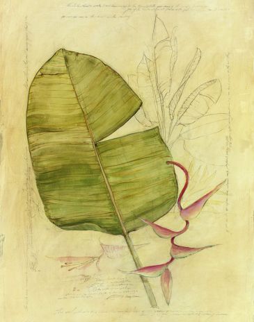 Reprodukce - Květiny - Botanical Journal I, Avery Tilmon