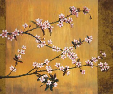 Reprodukce - Květiny - Cherry Blossoms, Erin Lange