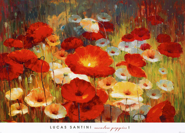 Reprodukce - Květiny - Meadow Poppies I, Santini Lucas