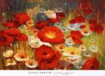 Reprodukce - Květiny - Meadow Poppies I