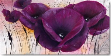 Reprodukce - Květiny - Pavot violet II, Isabelle Zacher-Finet